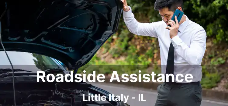 Roadside Assistance Little Italy - IL