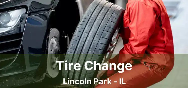 Tire Change Lincoln Park - IL