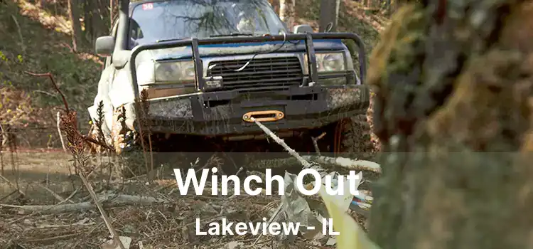 Winch Out Lakeview - IL