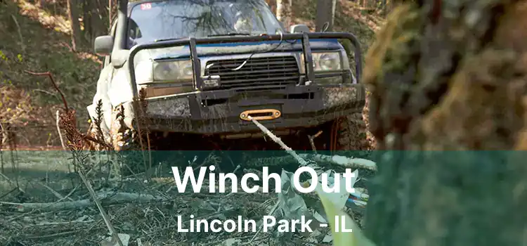 Winch Out Lincoln Park - IL