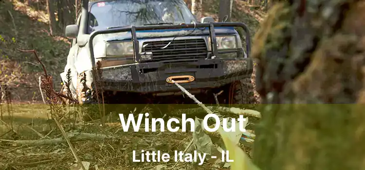 Winch Out Little Italy - IL